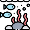 aquarium-petbonding