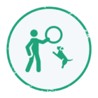 petbonding-training